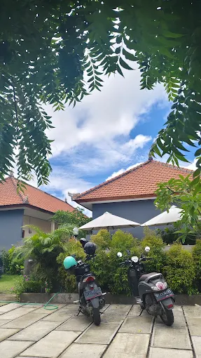 Bar area illuminated at night offering relaxing ambiance